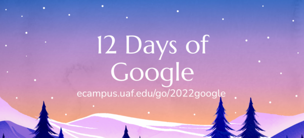 12 Days of Google 2022